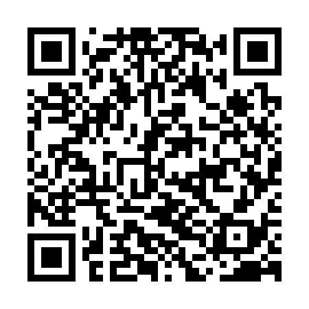 QR code for MDG338