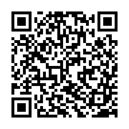 QR code for MDG343