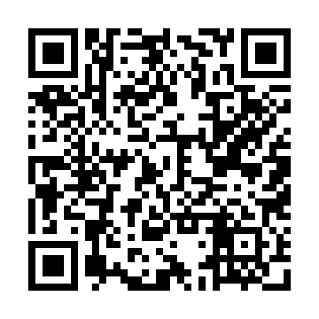 QR code for MDU381
