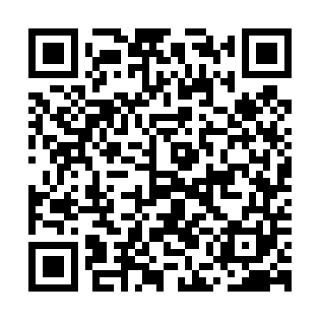 QR code for MEG441