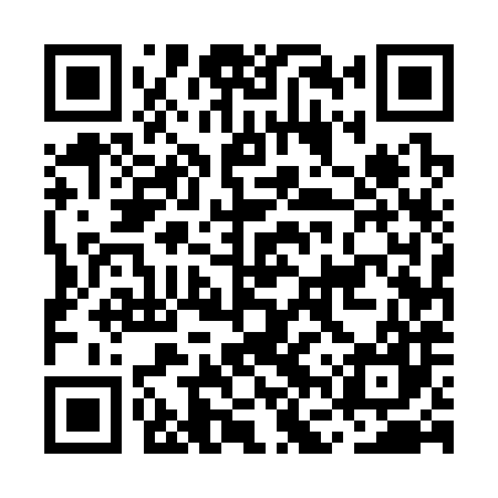 QR code for MFU387