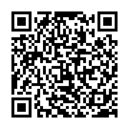 QR code for MGG331