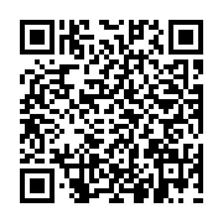 QR code for MH91313