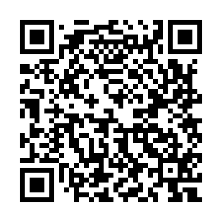 QR code for MI2915