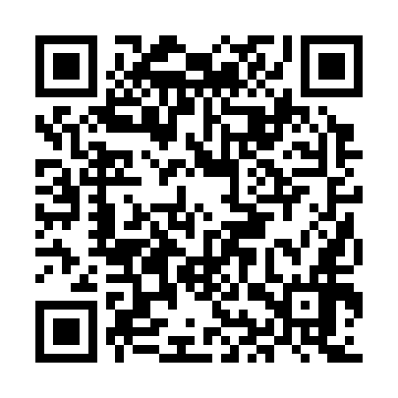 QR code for MIR356