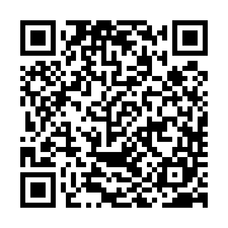 QR code for MIR545