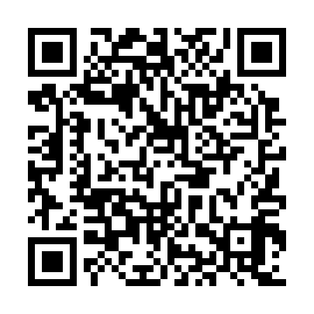 QR code for MIT319