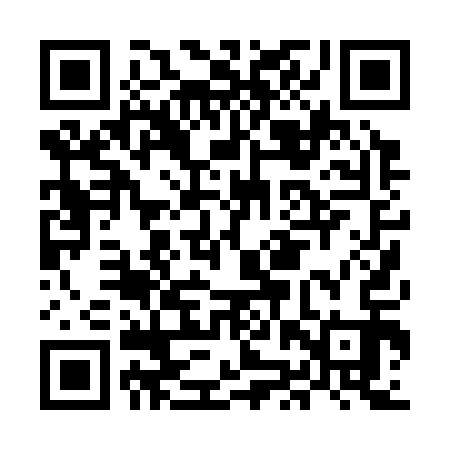 QR code for MJP313