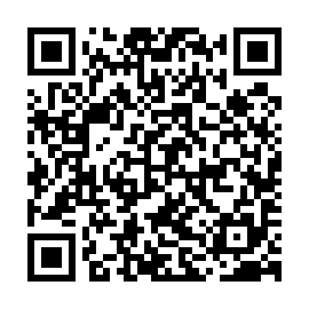 QR code for MLV595