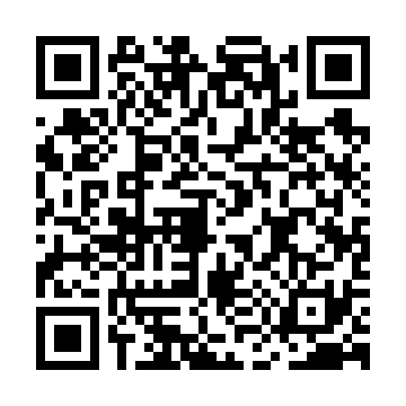 QR code for MM16313