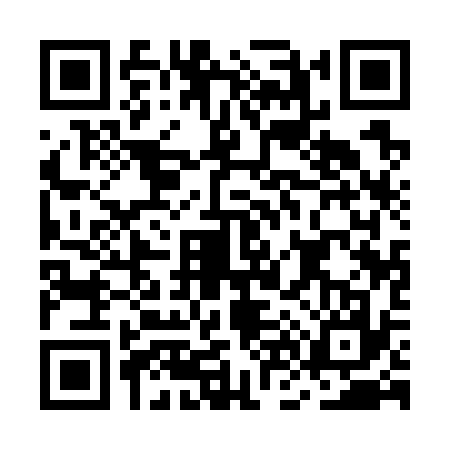 QR code for MN17376