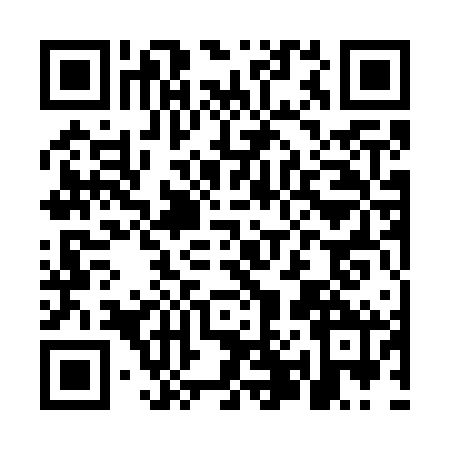 QR code for MP17629