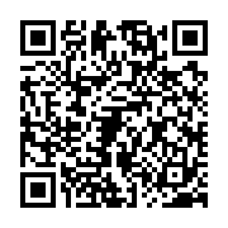 QR code for MP27333