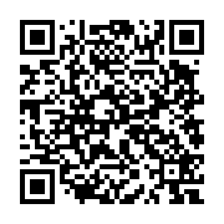 QR code for MPV429