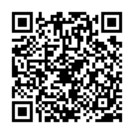 QR code for MS96576