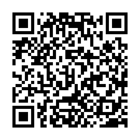 QR code for MSH338