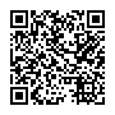 QR code for MSR389