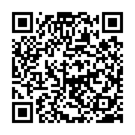 QR code for MSR738