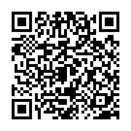 QR code for MT17294
