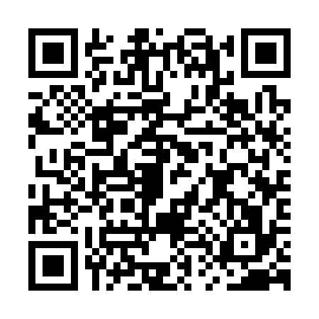 QR code for MT33368