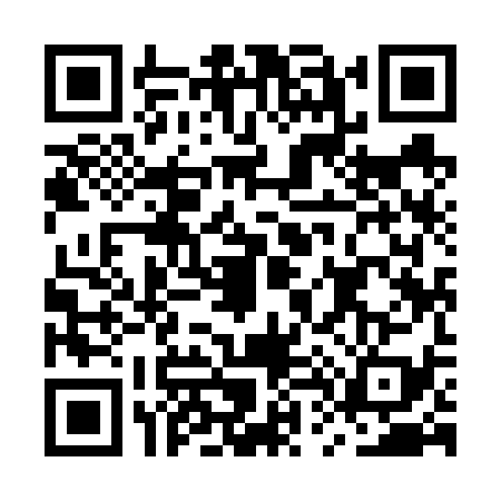 QR code for MT96395