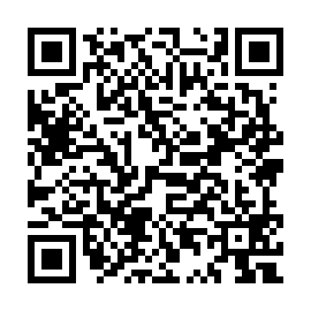 QR code for MT96991
