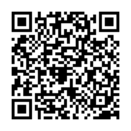 QR code for MV11519