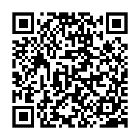 QR code for MV3165