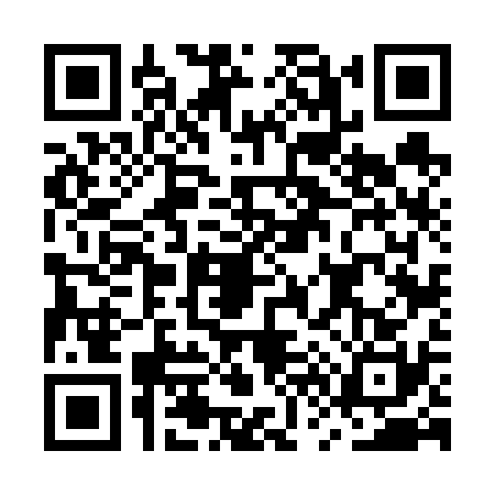 QR code for MV66304