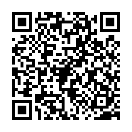 QR code for MV95228