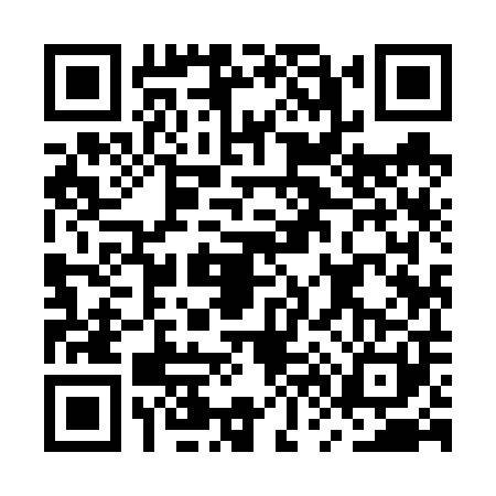 QR code for MV96019