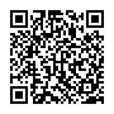 QR code for MVS295