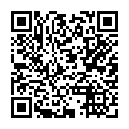 QR code for MWD339