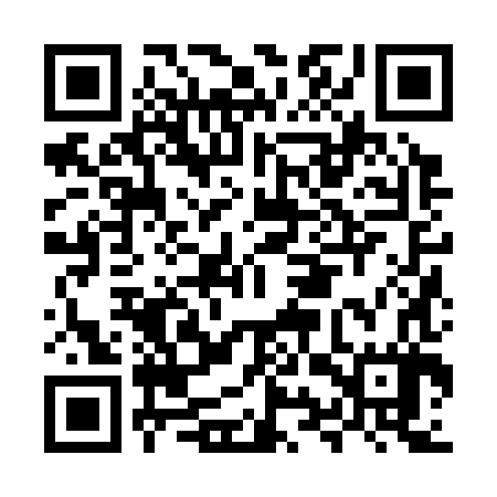 QR code for MYZ387