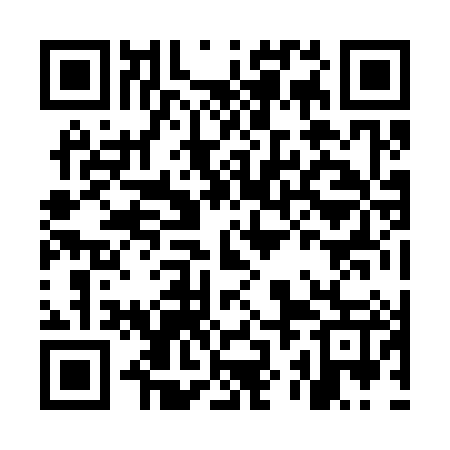 QR code for MZJ387