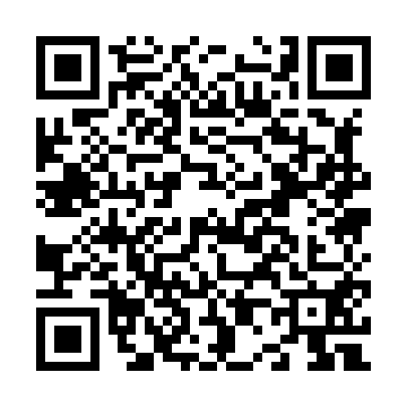 QR code for N018500
