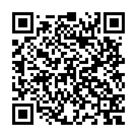 QR code for N03533