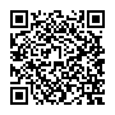 QR code for N040656