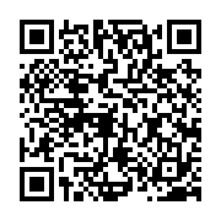 QR code for N042333
