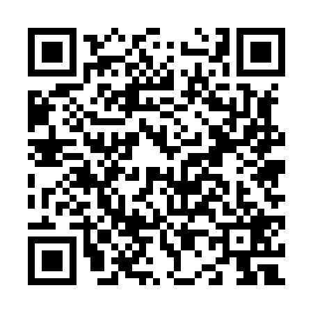 QR code for N058295