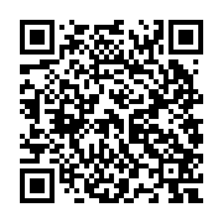 QR code for N06203