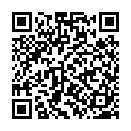 QR code for N06223