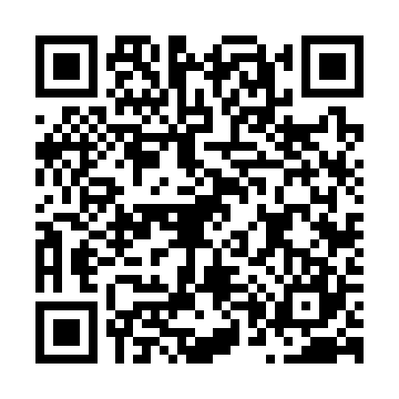 QR code for N063271
