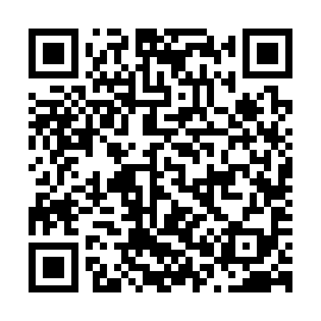 QR code for N06399
