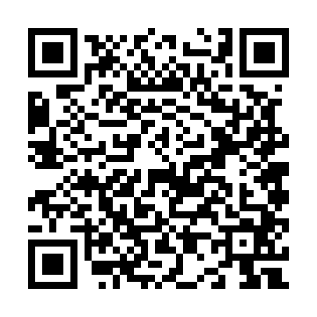 QR code for N065446