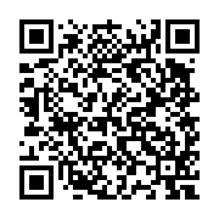 QR code for N07495