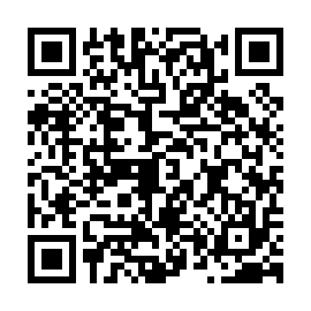 QR code for N090176