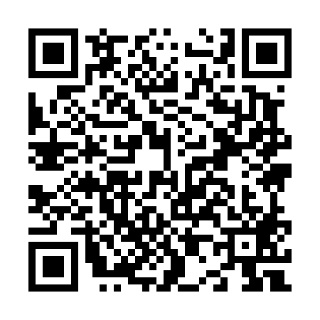 QR code for N094895
