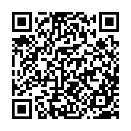 QR code for N10384