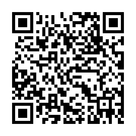 QR code for N10585